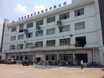 东莞市农村 社区 集体资产管理网 新南村原玥珑厂