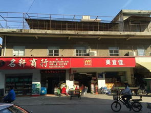 东莞市农村 社区 集体资产管理网 宝丰厂 杨冠华