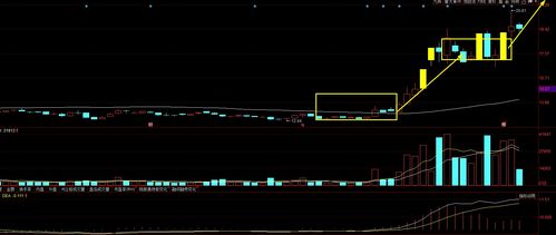 A股大寻宝 四只被散户忽略但资金悄然布局的“飞天”潜力股